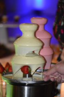 /album/galeria-de-imagenes/dsc-0318-jpg/